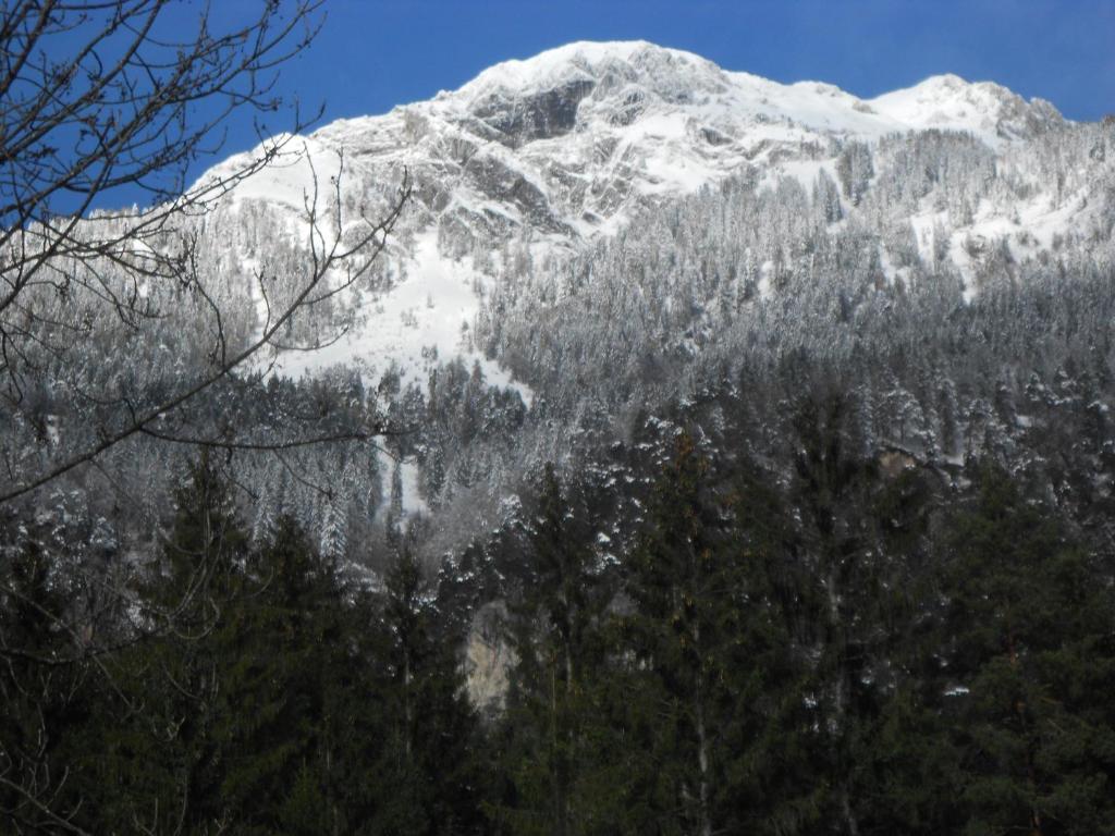 Appartementhaus Scheiflinger Hermagor Dış mekan fotoğraf